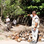 Mutirão de Limpeza - Barra Nova (6)